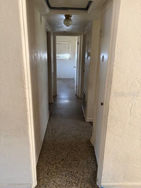 8 FLAMEVINE LN, DEBARY, FL, 32713