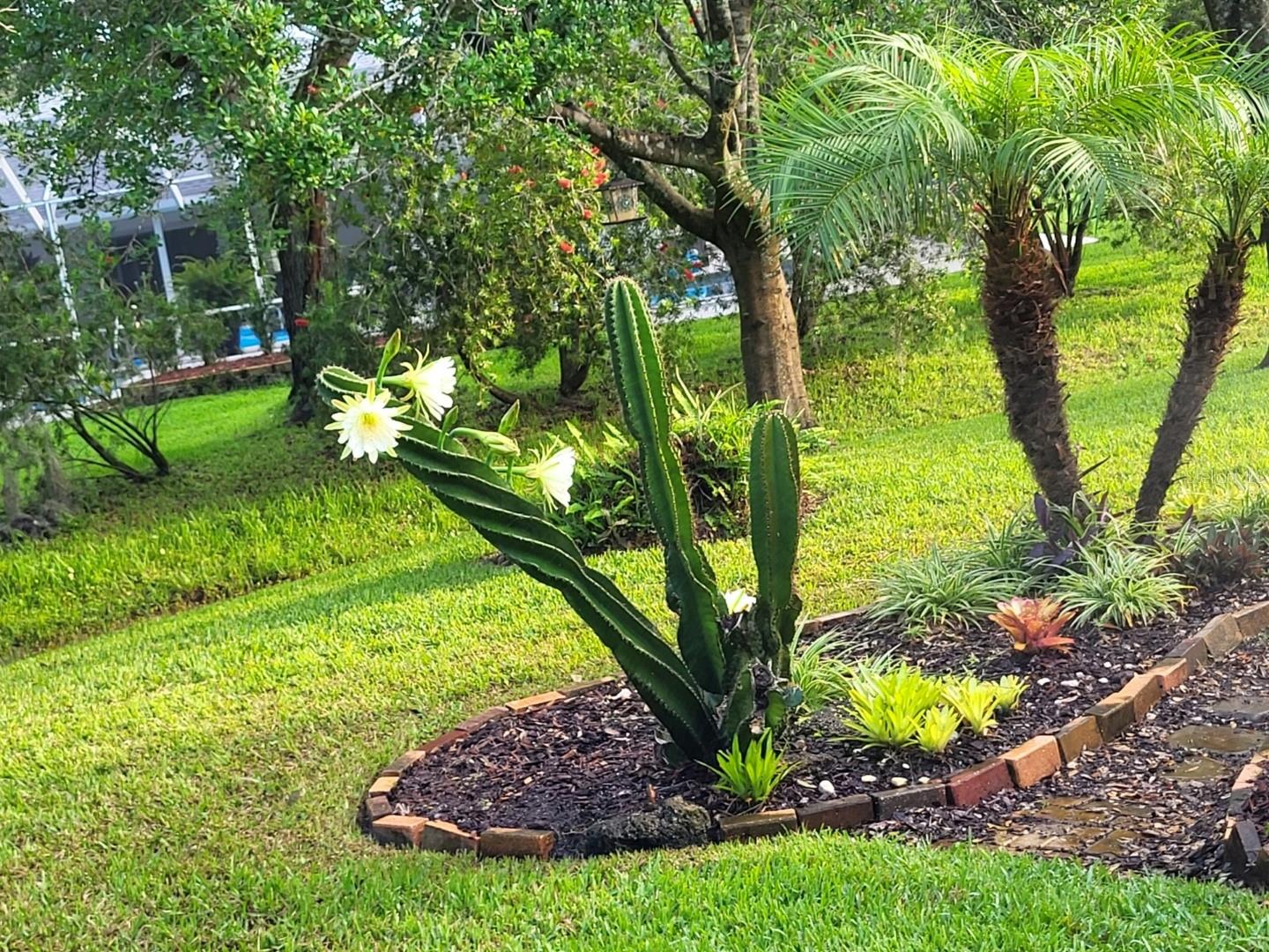 6 MONTAUK CT, PALM COAST, FL, 32164