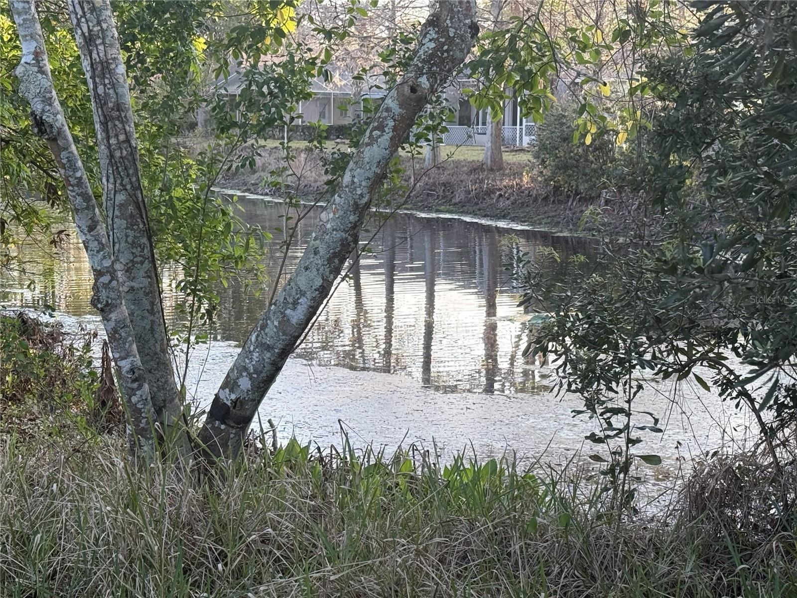 6 MONTAUK CT, PALM COAST, FL, 32164