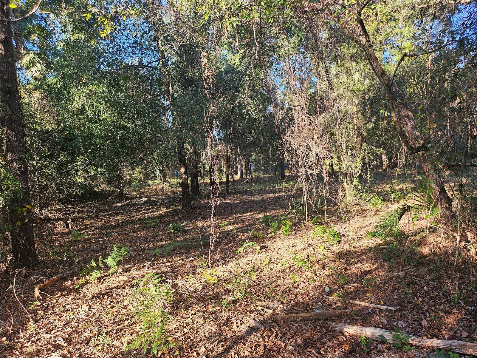 4462 & 4484 N WELL VIEW PT, CRYSTAL RIVER, FL, 34428