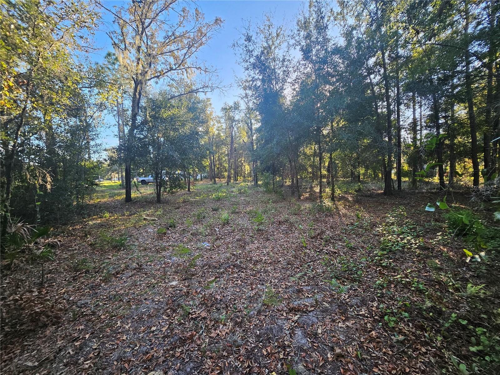 4462 & 4484 N WELL VIEW PT, CRYSTAL RIVER, FL, 34428