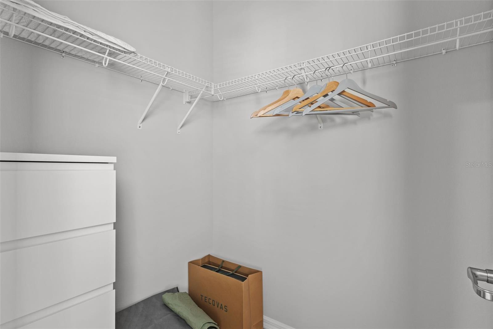 17240 BALANCE CV, LAND O LAKES, FL, 34638