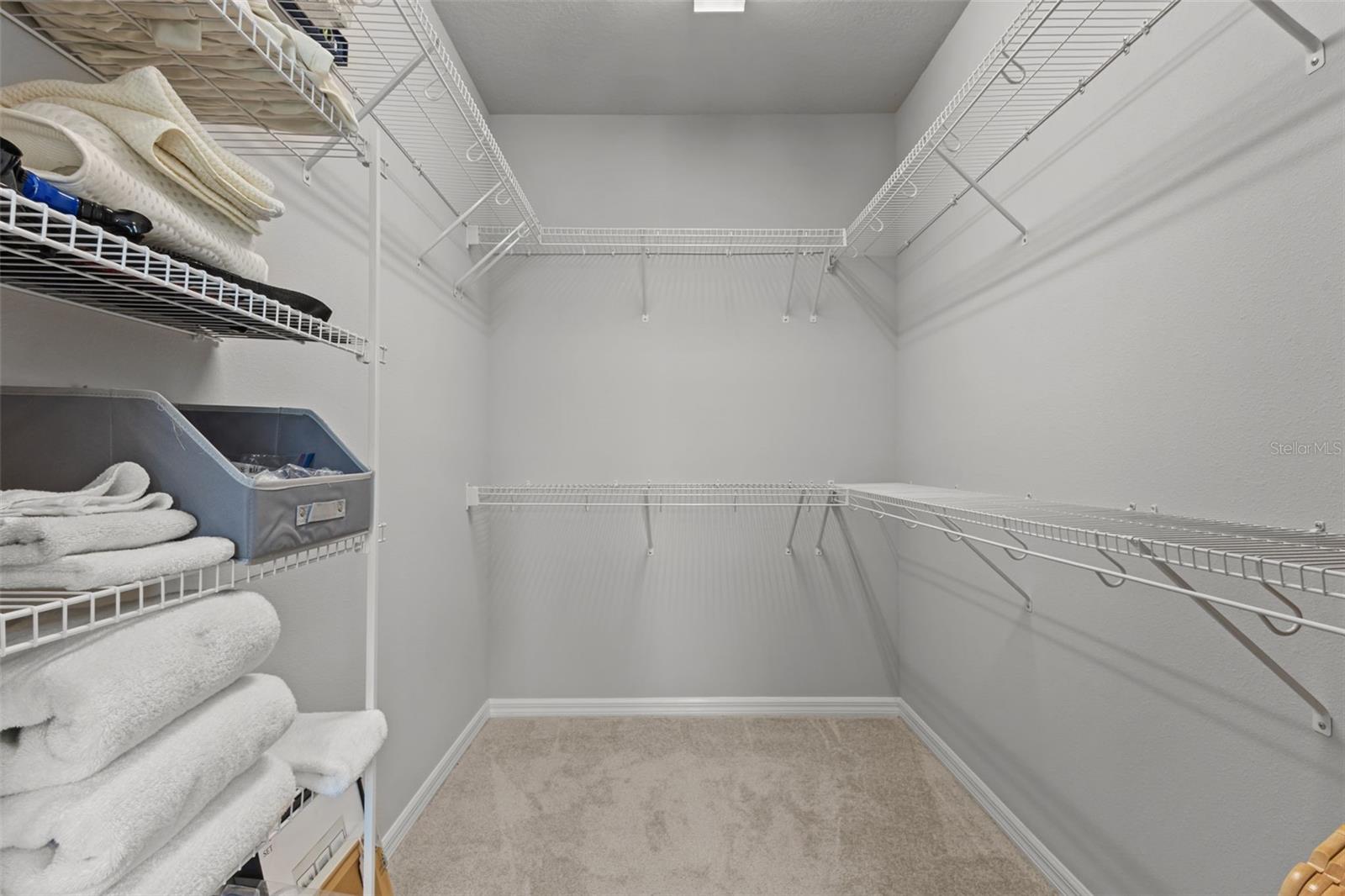 17240 BALANCE CV, LAND O LAKES, FL, 34638