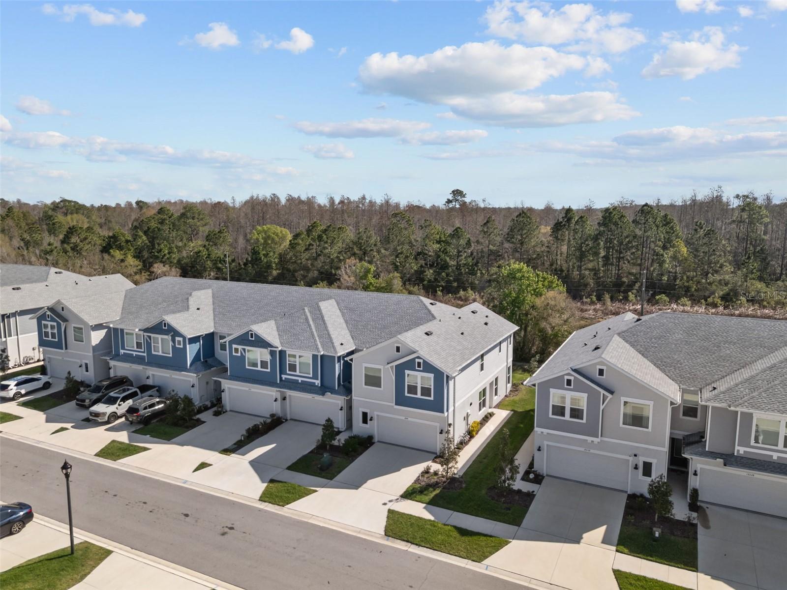 17240 BALANCE CV, LAND O LAKES, FL, 34638