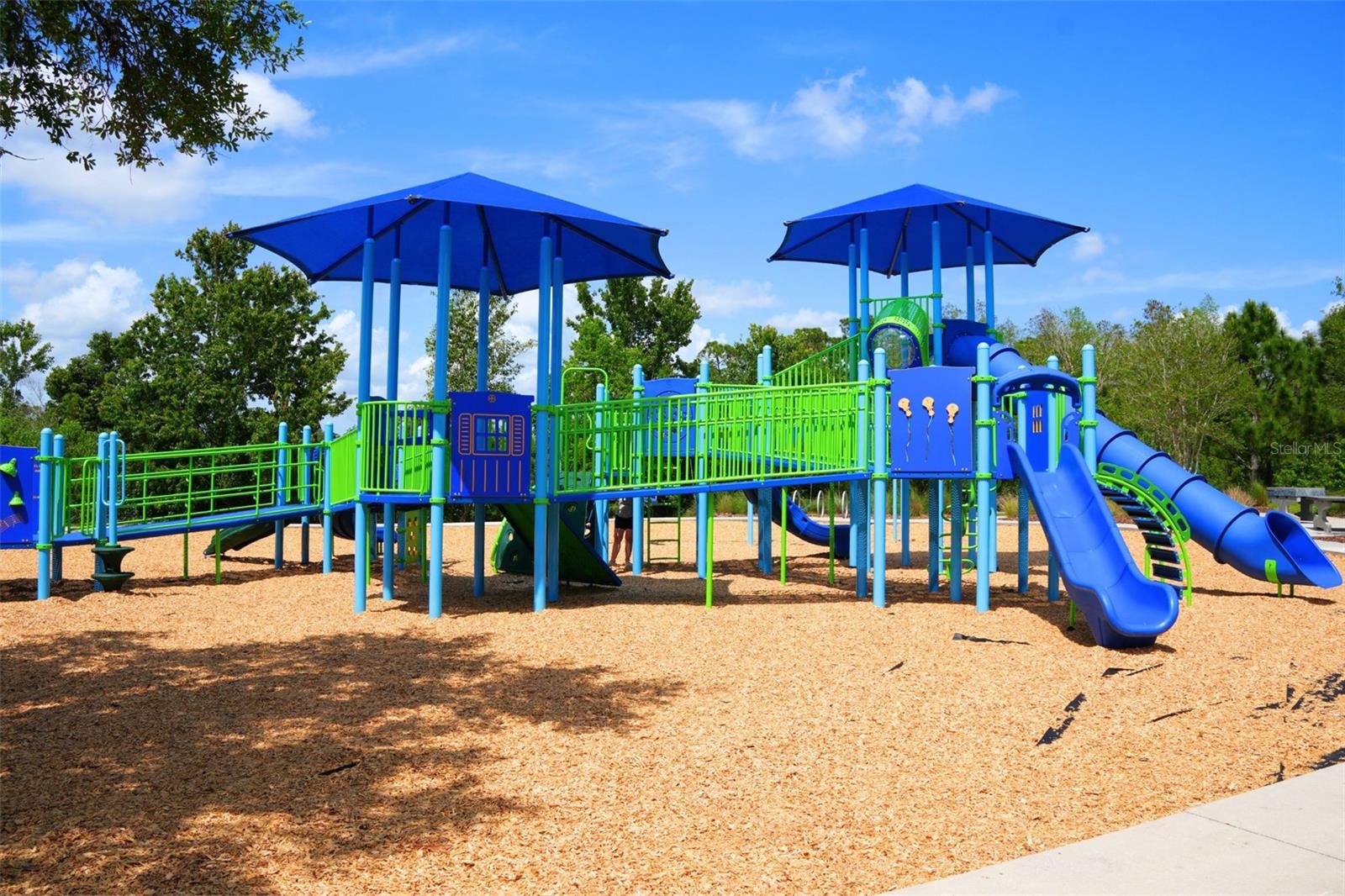 17240 BALANCE CV, LAND O LAKES, FL, 34638