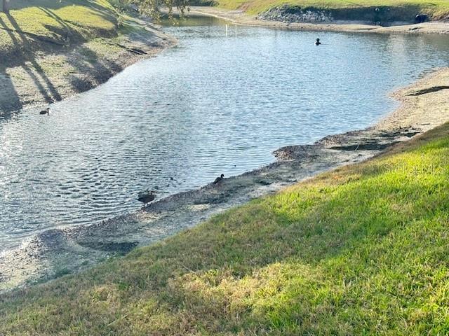 946 VIRGINIA ST #104- J, DUNEDIN, FL, 34698