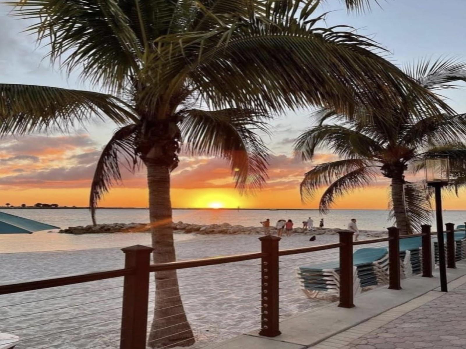 946 VIRGINIA ST #104- J, DUNEDIN, FL, 34698