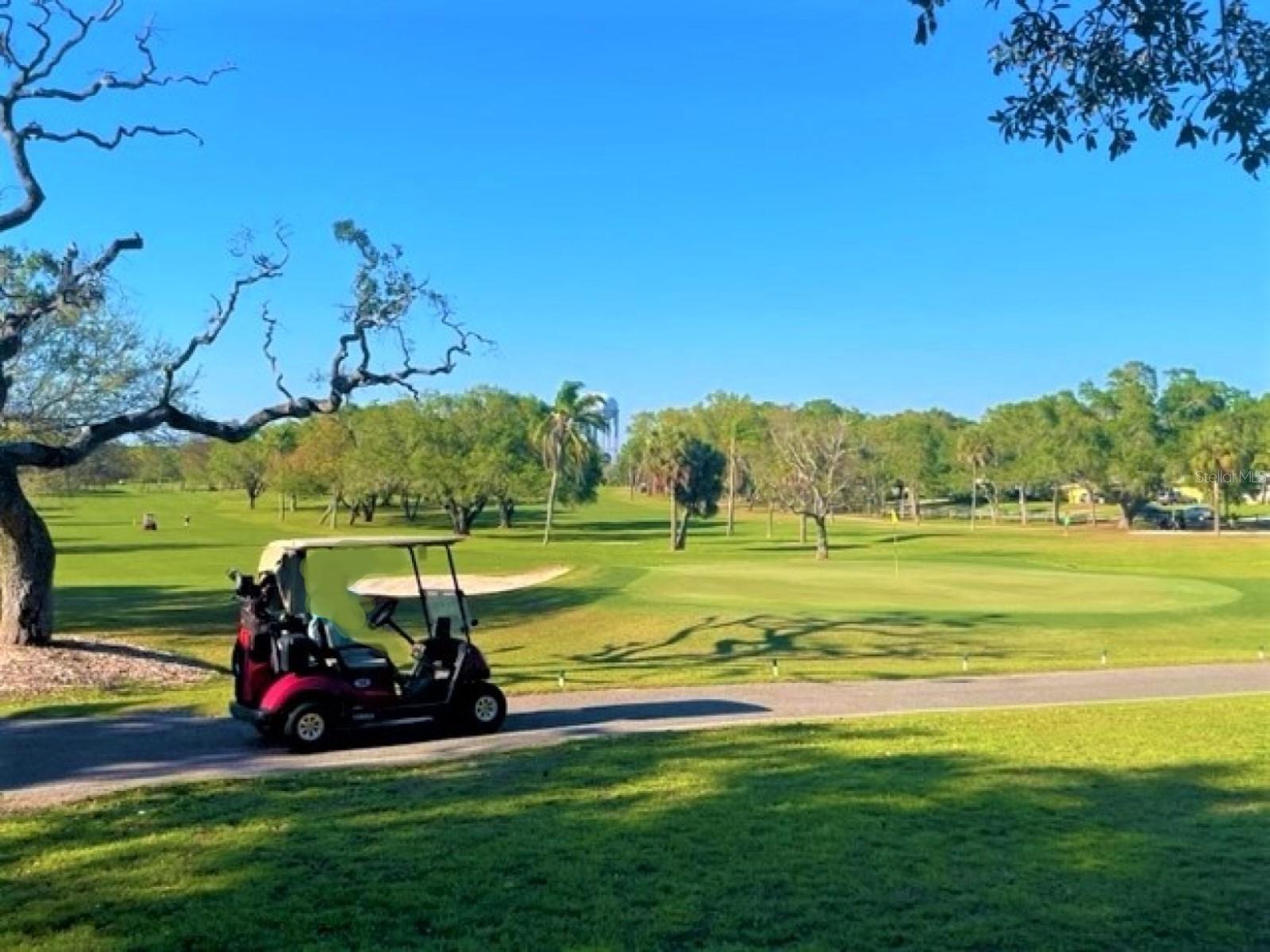 946 VIRGINIA ST #104- J, DUNEDIN, FL, 34698