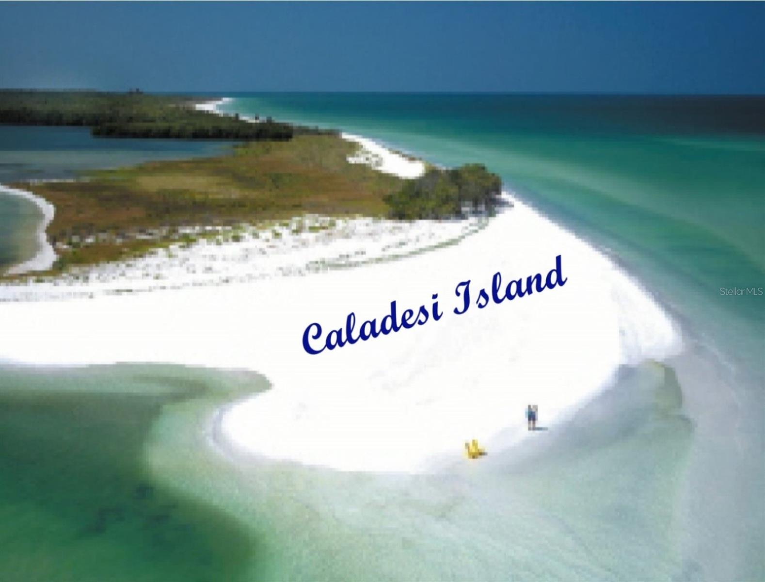 946 VIRGINIA ST #104- J, DUNEDIN, FL, 34698