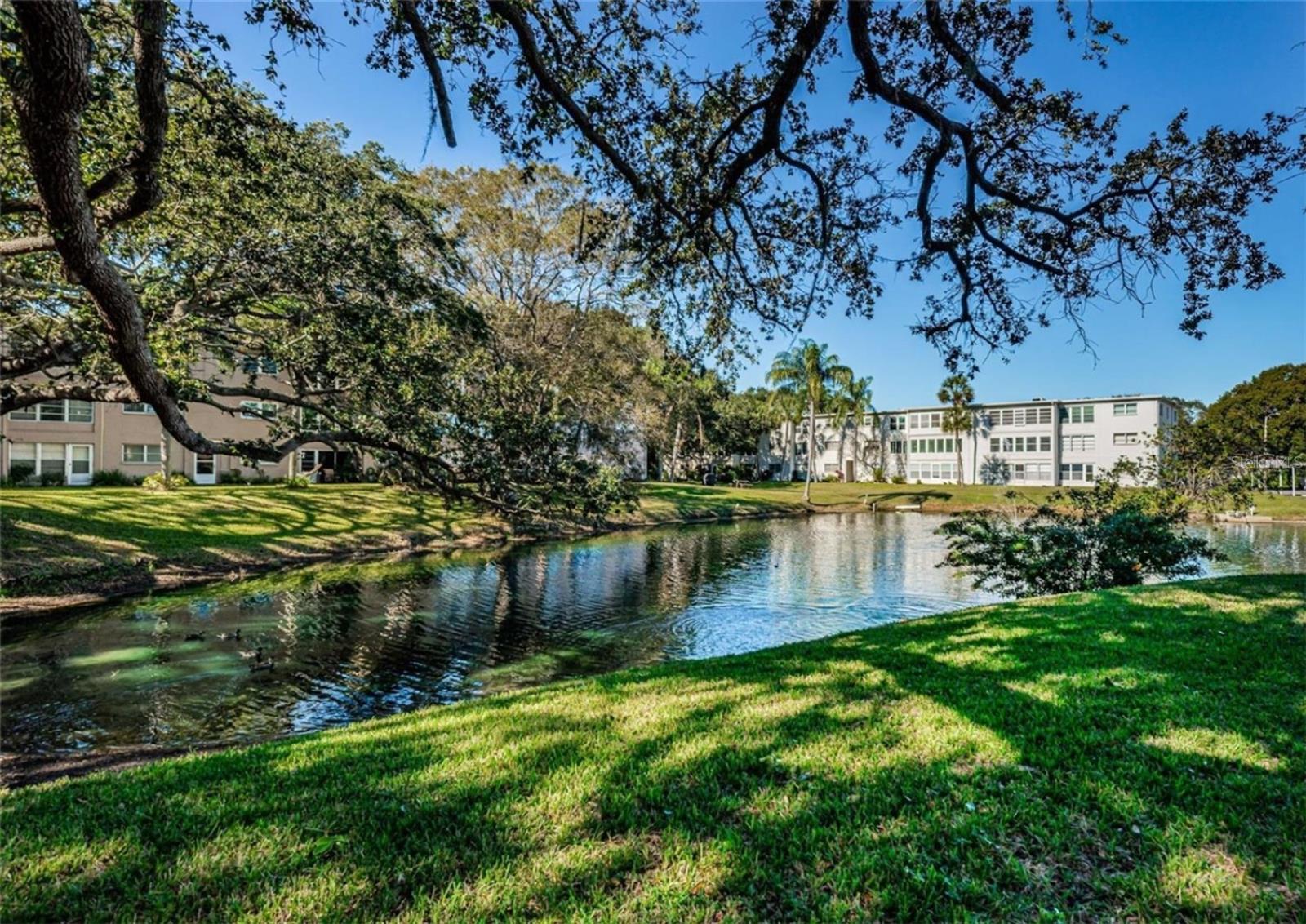 946 VIRGINIA ST #104- J, DUNEDIN, FL, 34698