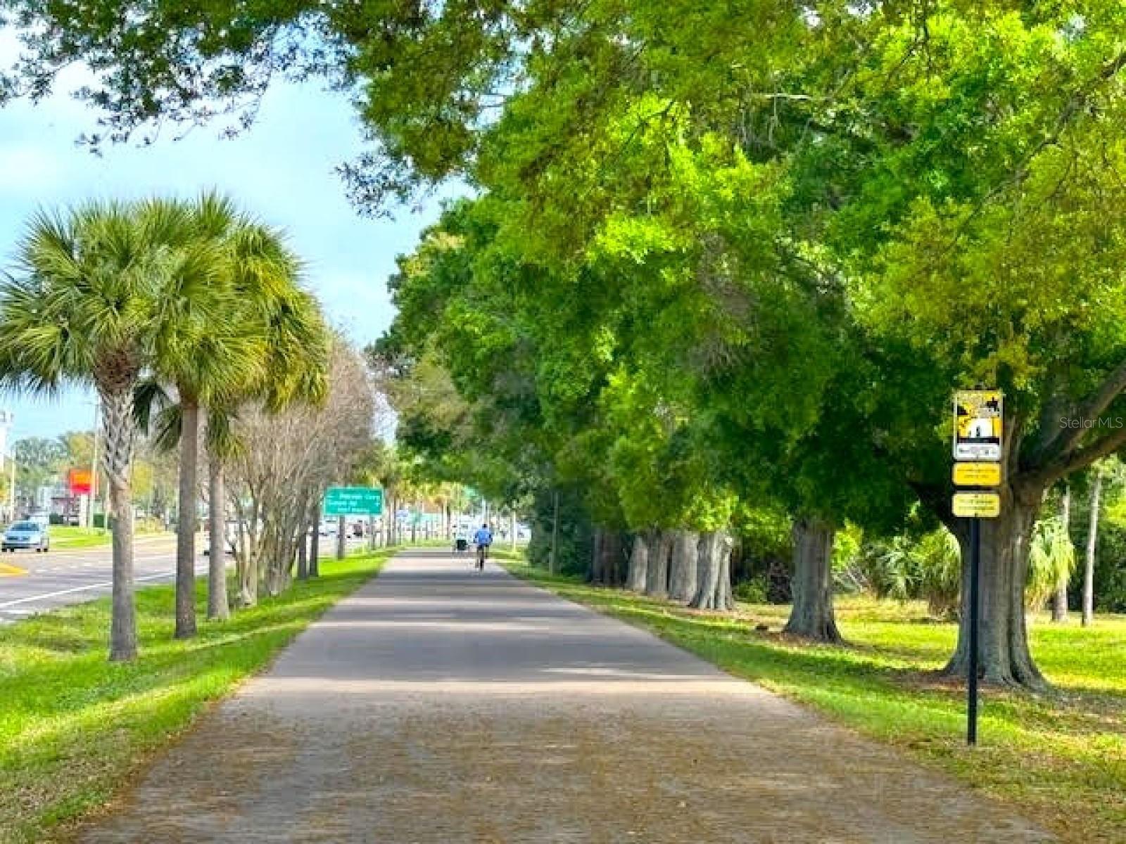 946 VIRGINIA ST #104- J, DUNEDIN, FL, 34698