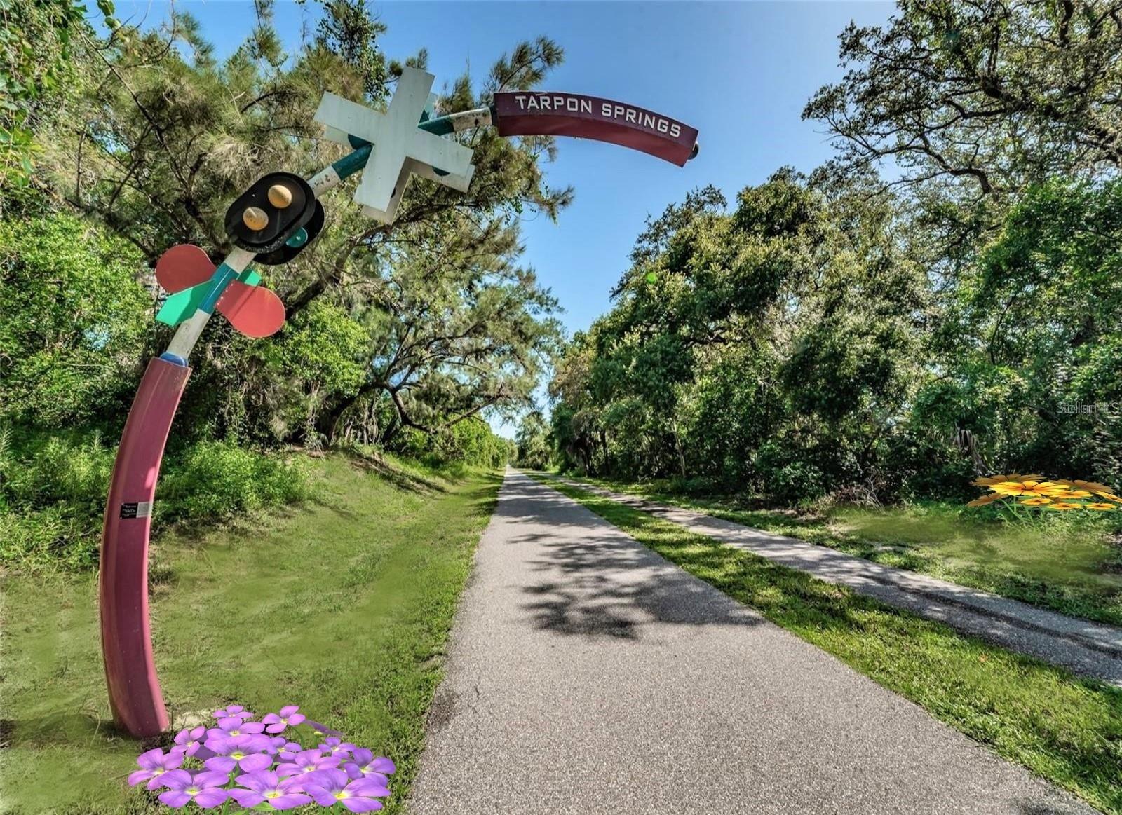 946 VIRGINIA ST #104- J, DUNEDIN, FL, 34698