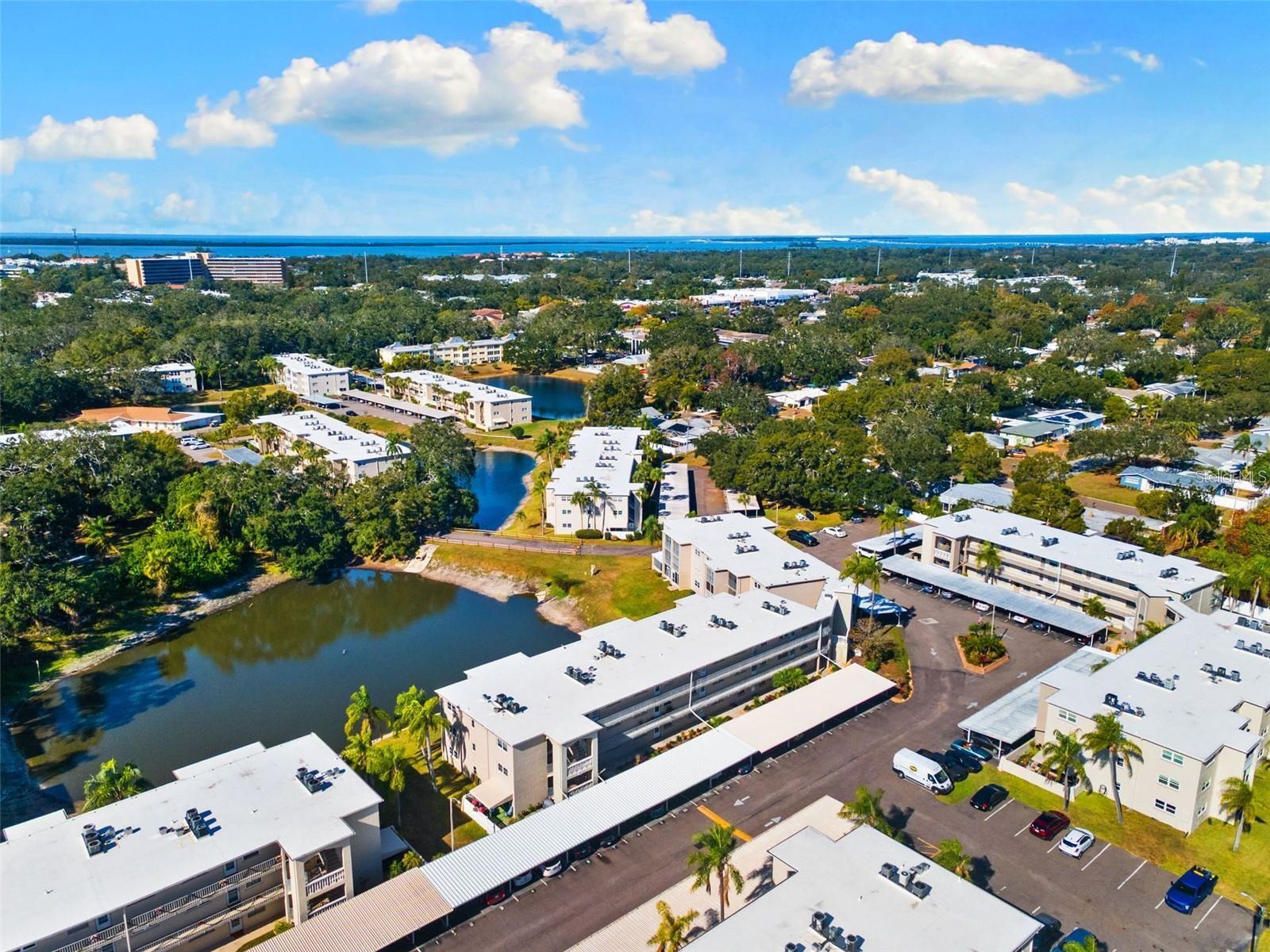 946 VIRGINIA ST #104- J, DUNEDIN, FL, 34698