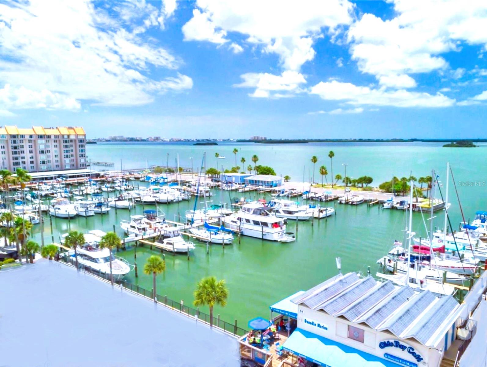 946 VIRGINIA ST #104- J, DUNEDIN, FL, 34698