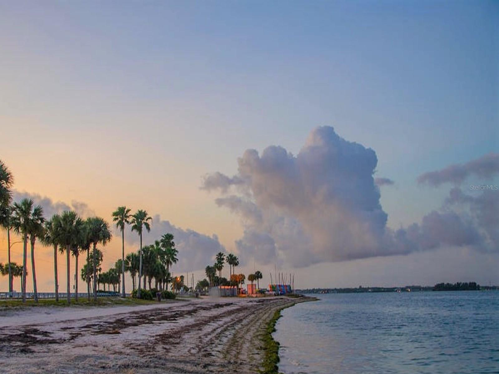 946 VIRGINIA ST #104- J, DUNEDIN, FL, 34698