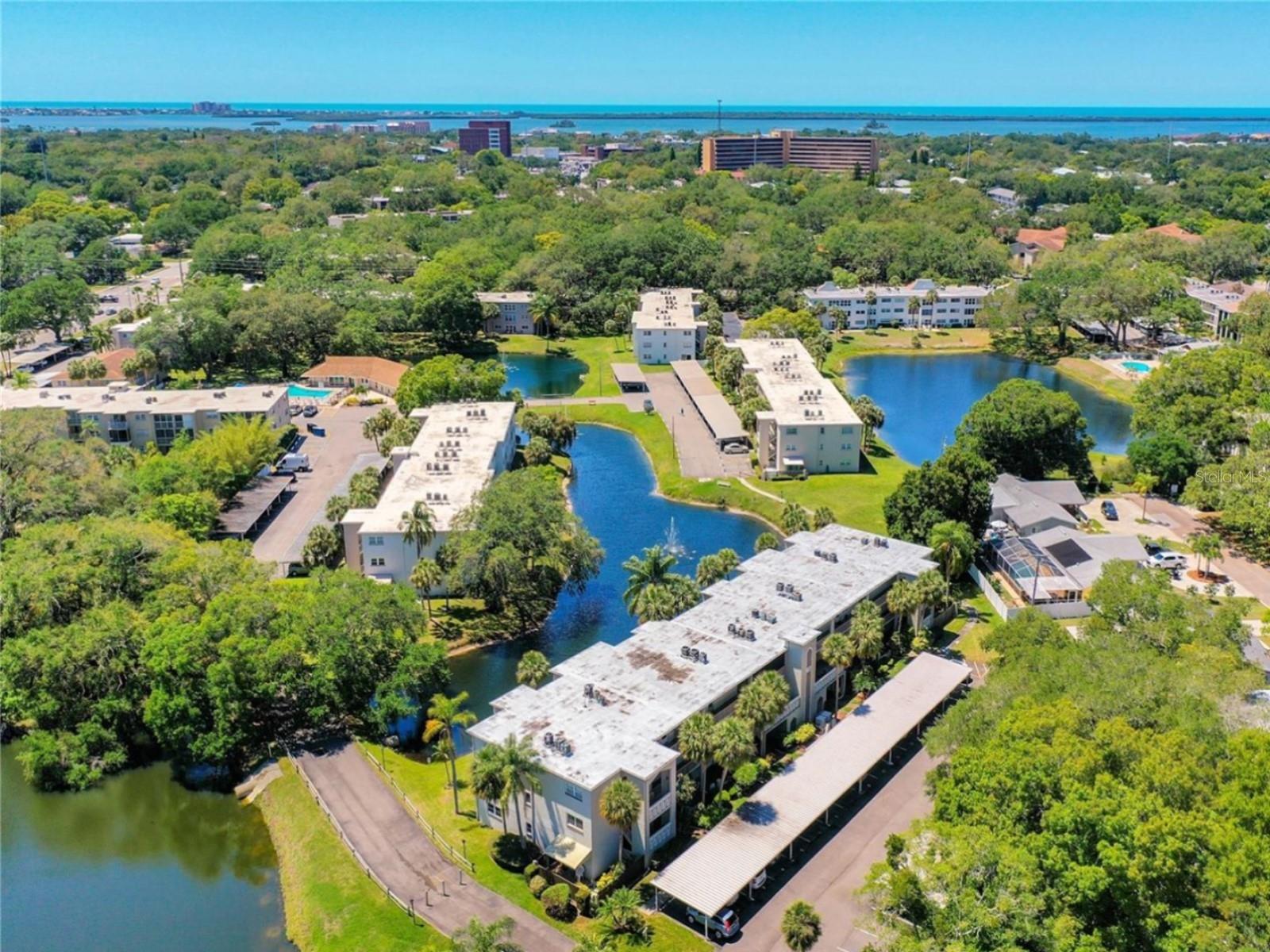 946 VIRGINIA ST #104- J, DUNEDIN, FL, 34698