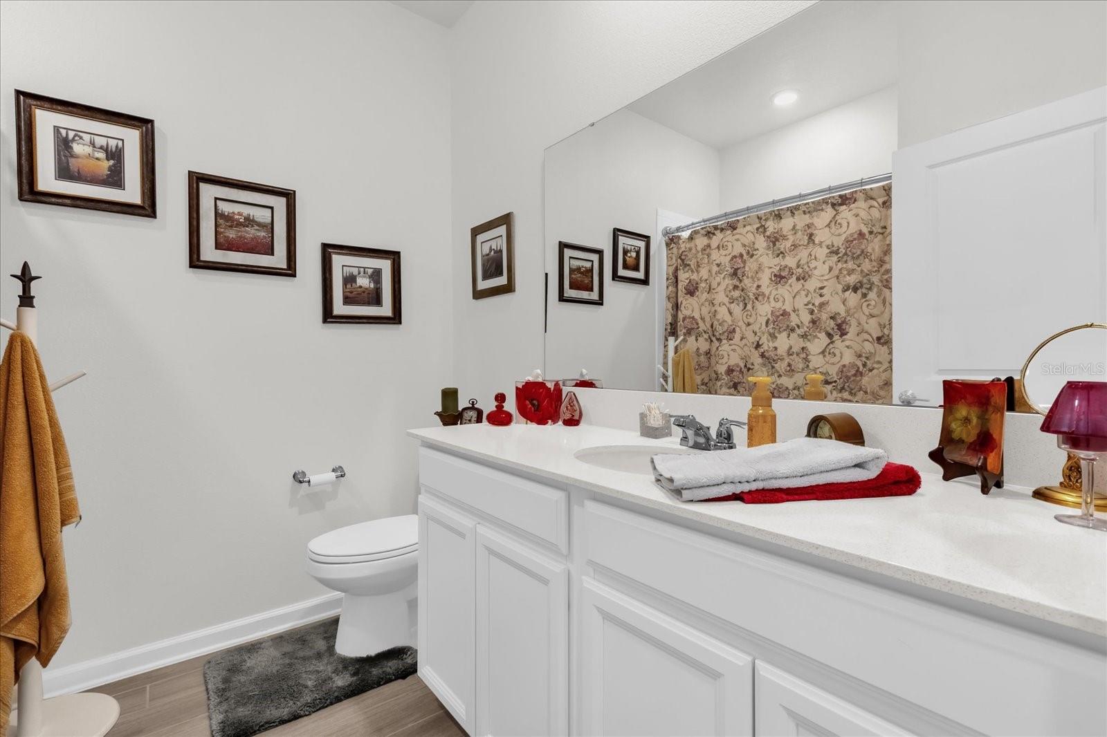 33655 SKY BLOSSOM CIR, LEESBURG, FL, 34788