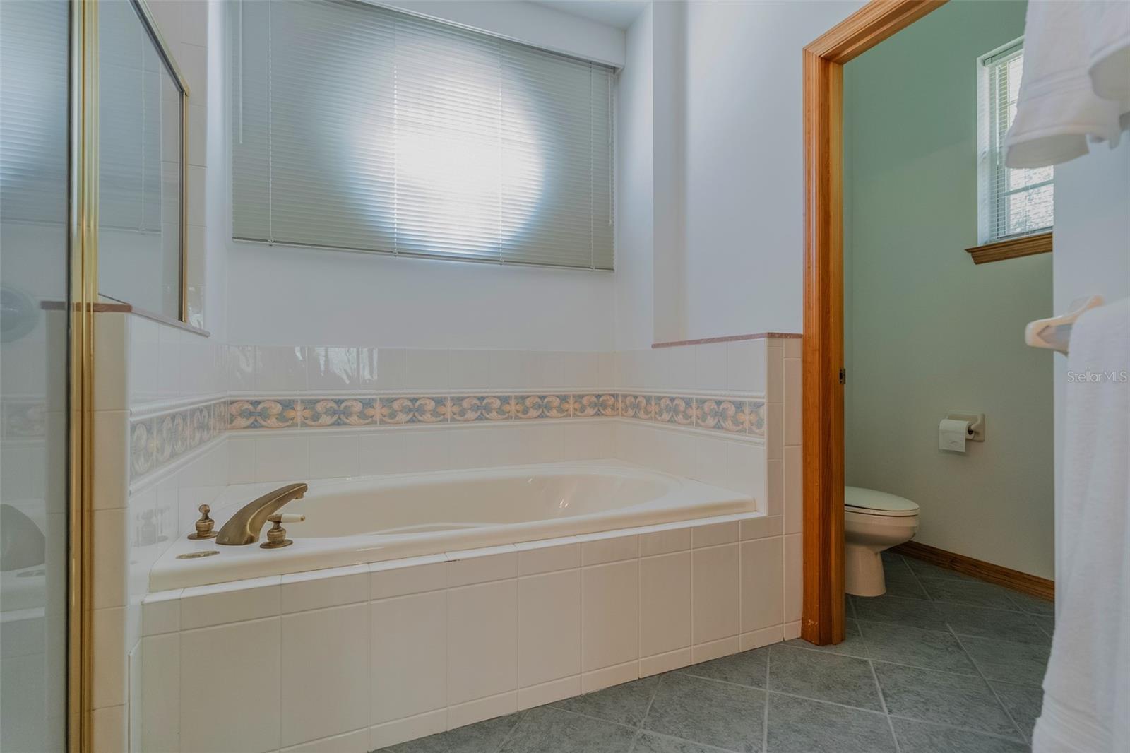3402 BLACK WILLOW TRL, DELAND, FL, 32724