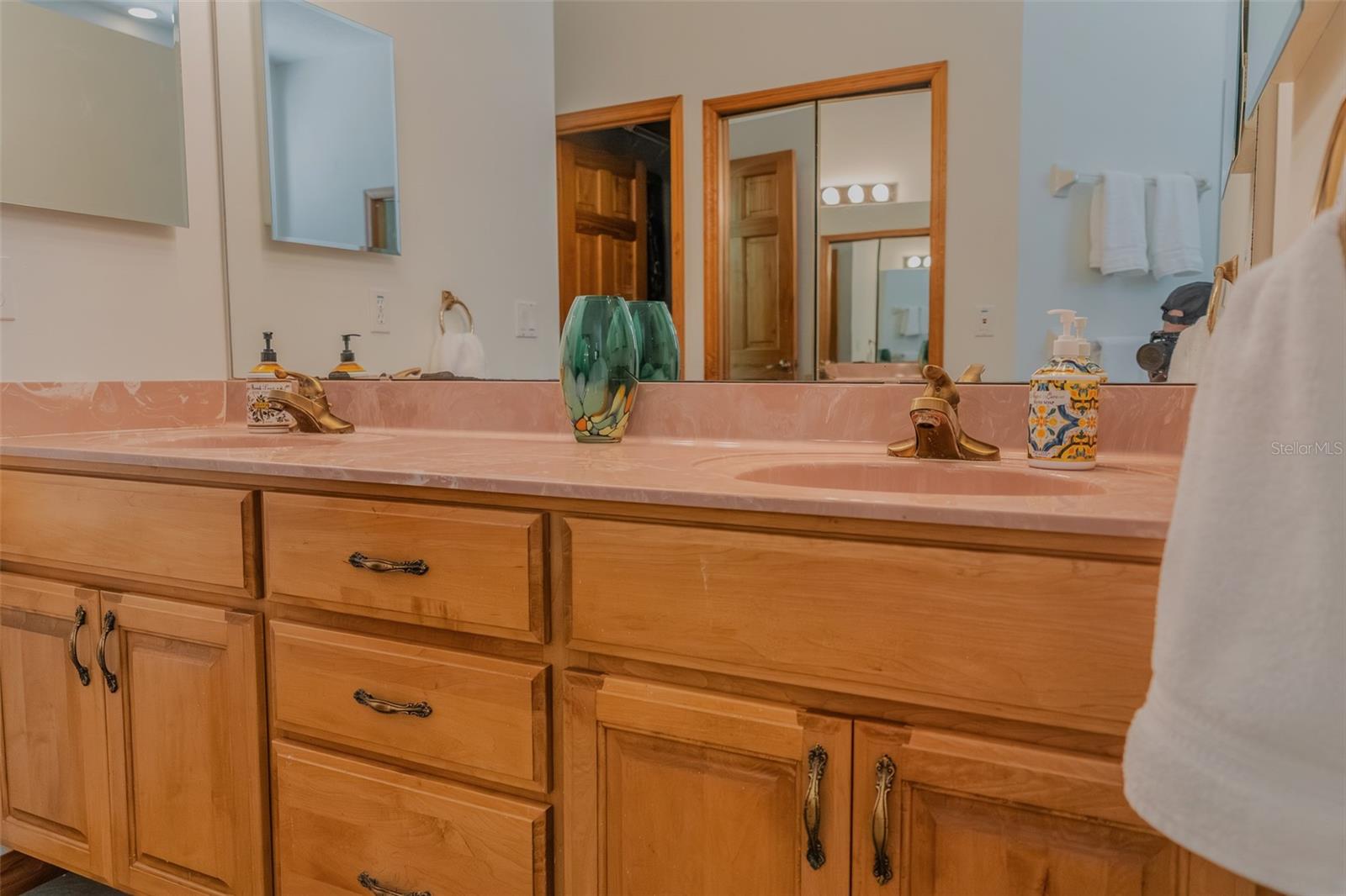3402 BLACK WILLOW TRL, DELAND, FL, 32724
