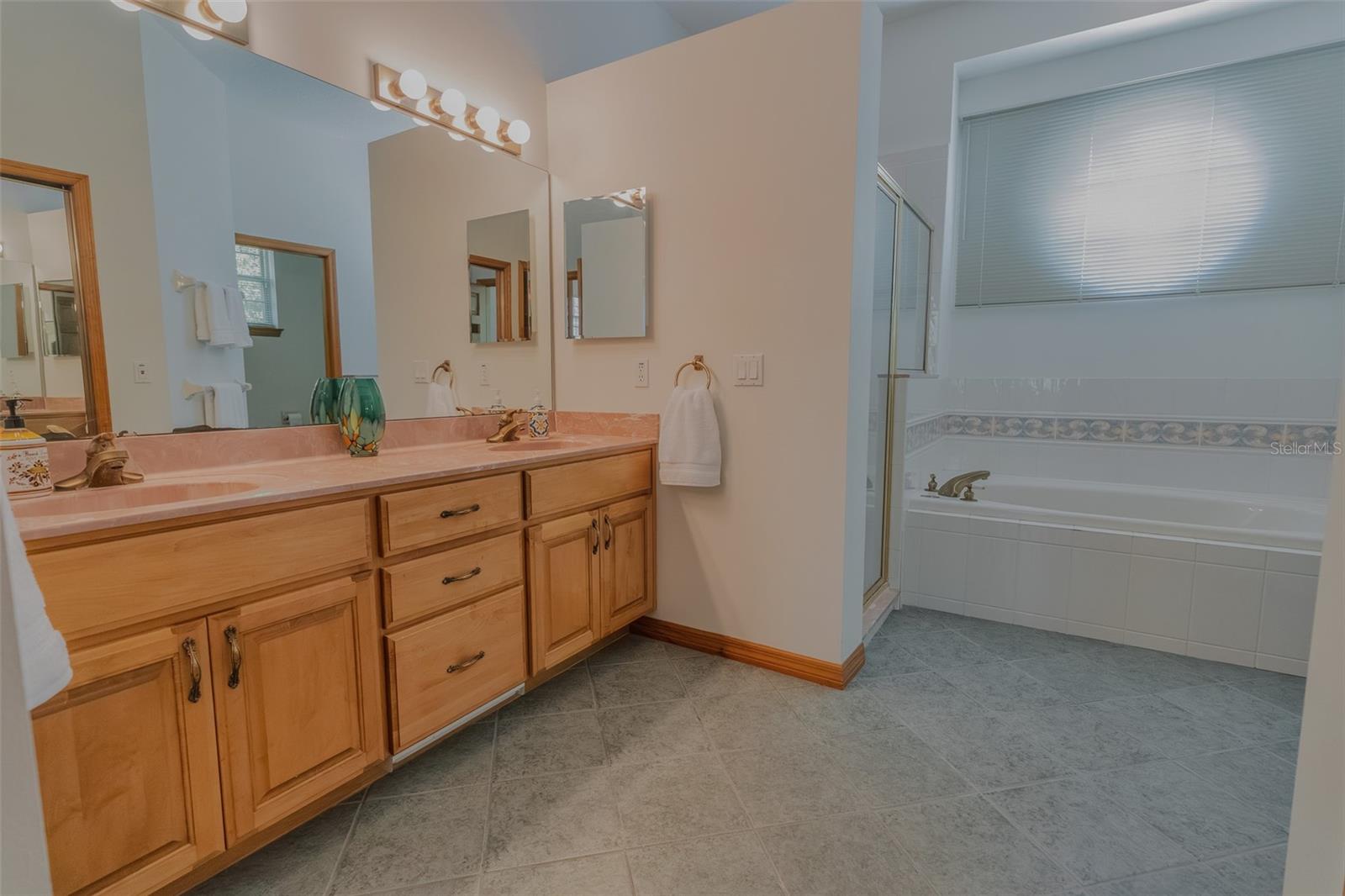 3402 BLACK WILLOW TRL, DELAND, FL, 32724
