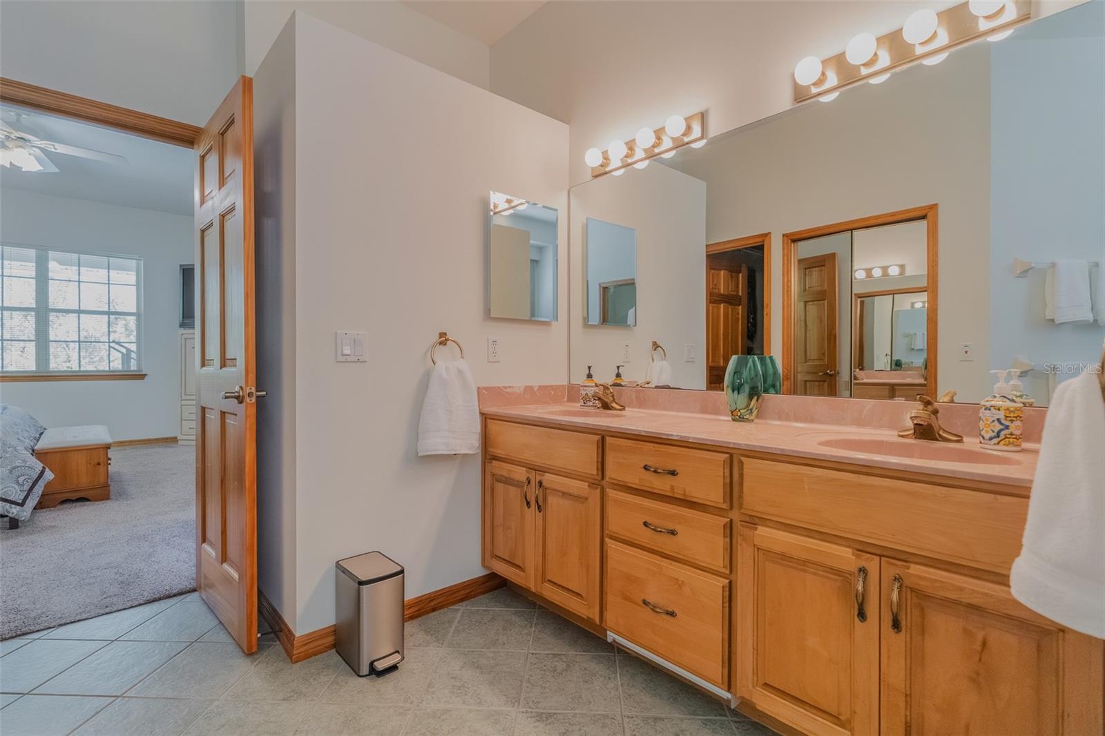 3402 BLACK WILLOW TRL, DELAND, FL, 32724