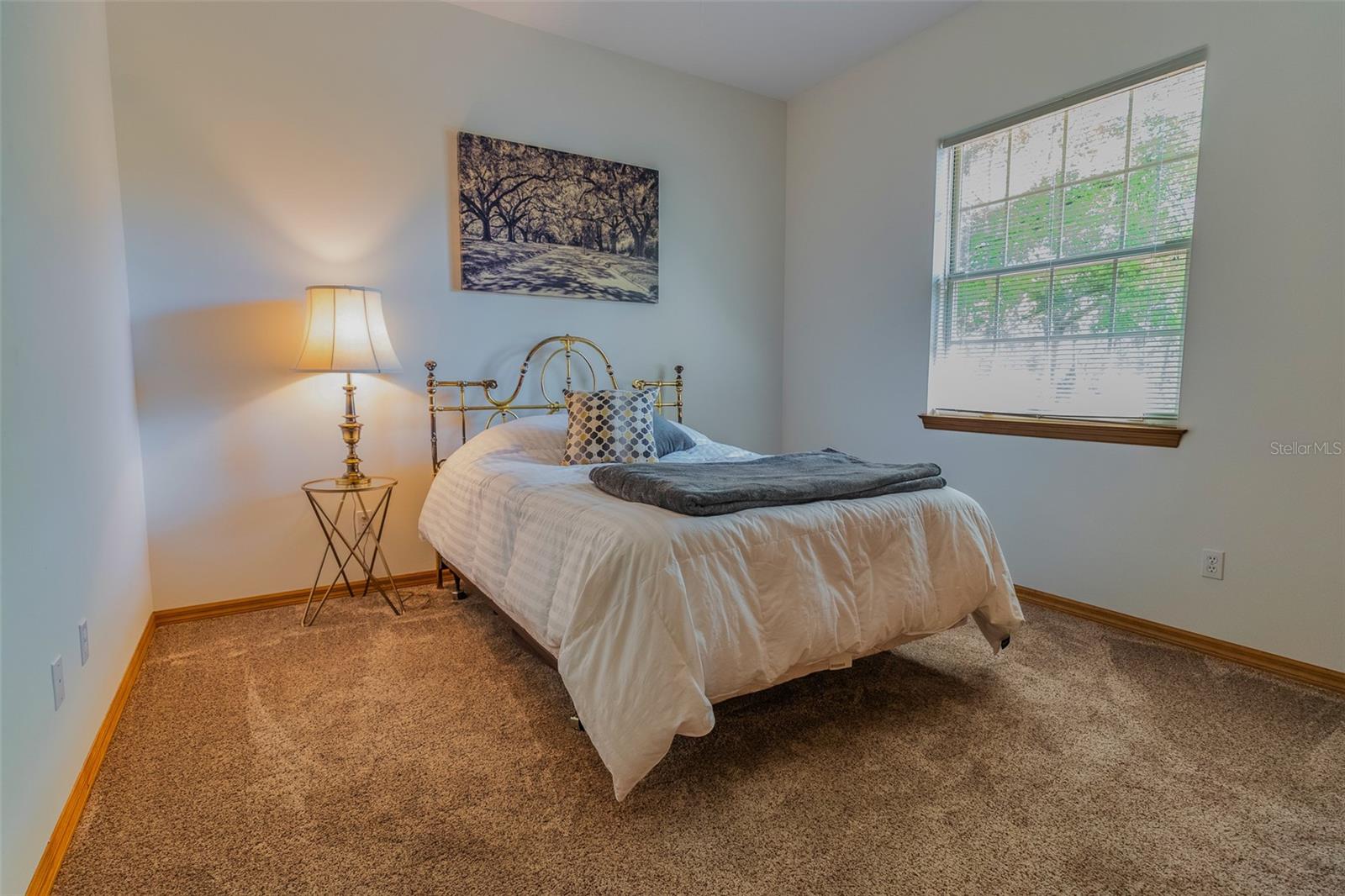 3402 BLACK WILLOW TRL, DELAND, FL, 32724
