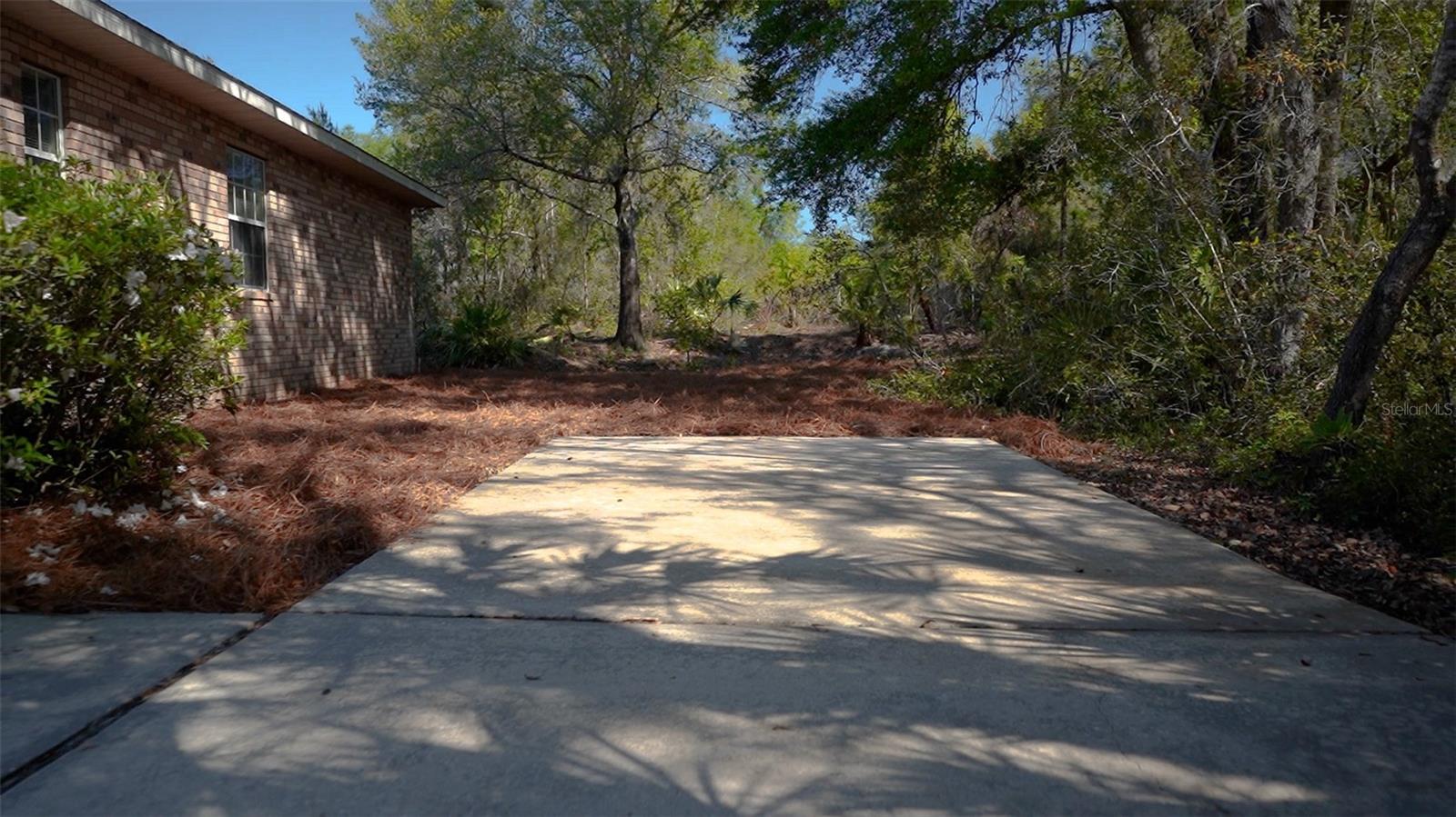3402 BLACK WILLOW TRL, DELAND, FL, 32724
