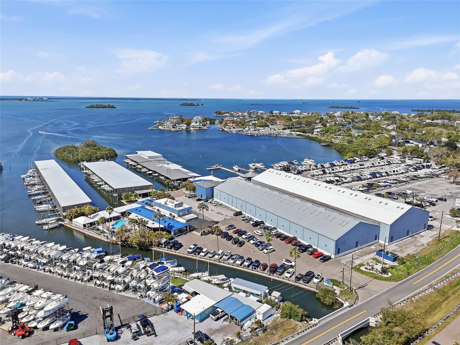 216 SHORE DR, PALM HARBOR, FL, 34683