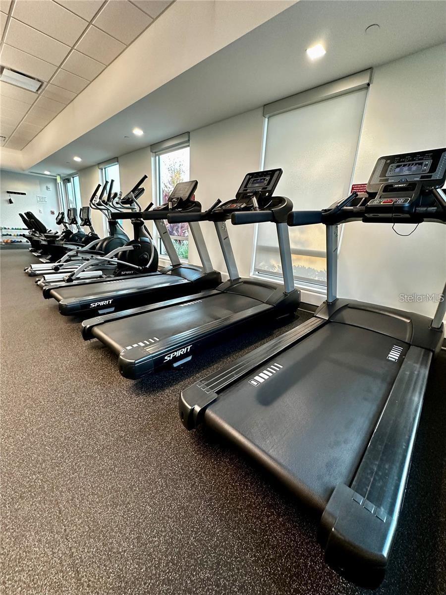 1100 BELCHER RD S #406, LARGO, FL, 33771