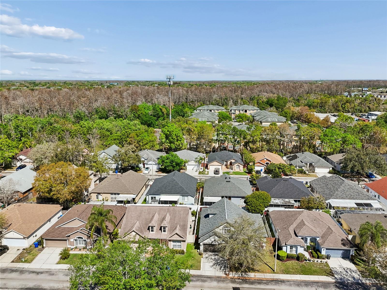 8816 CYPRESS HAMMOCK DR, TAMPA, FL, 33614