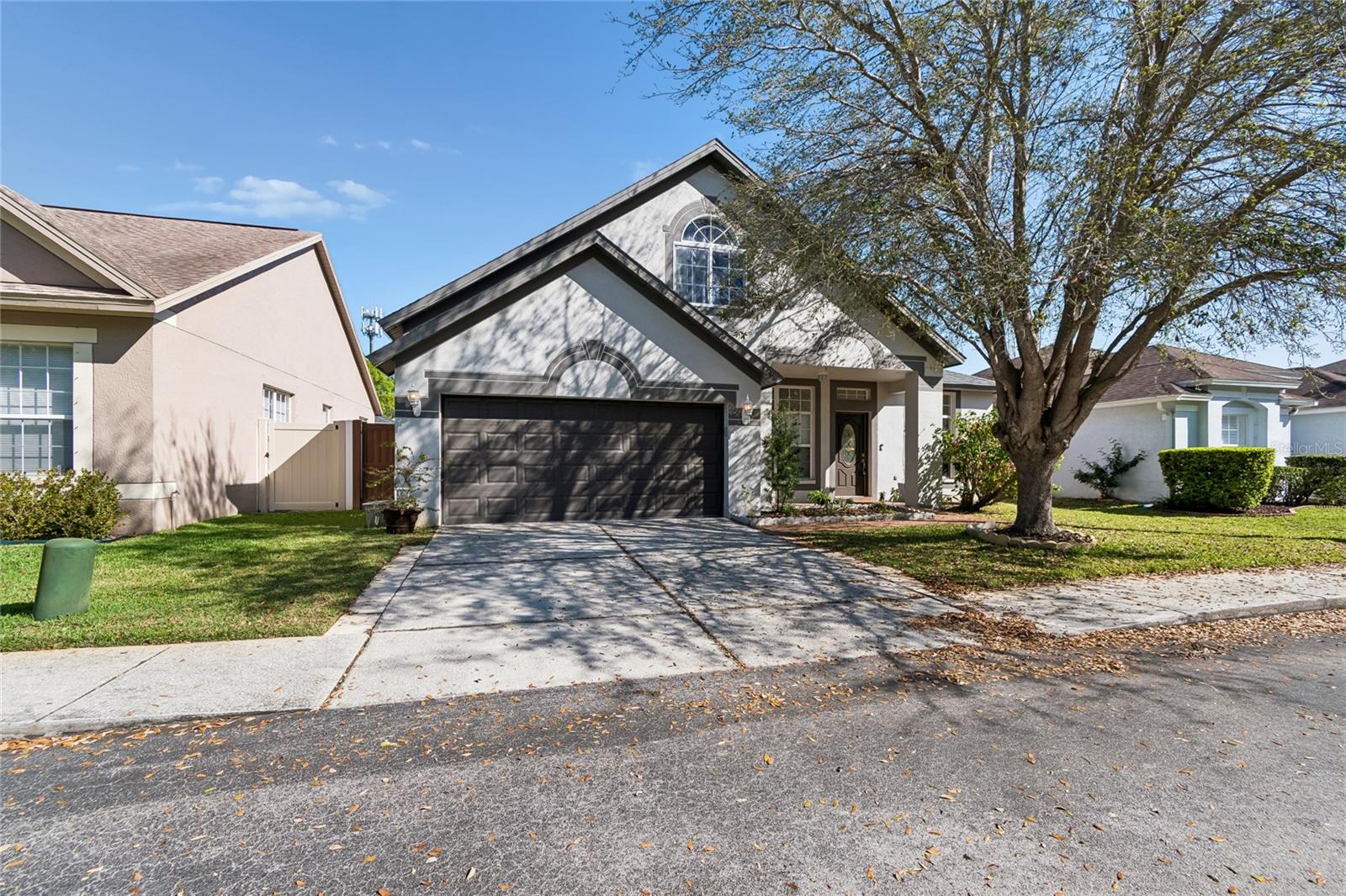 8816 CYPRESS HAMMOCK DR, TAMPA, FL, 33614