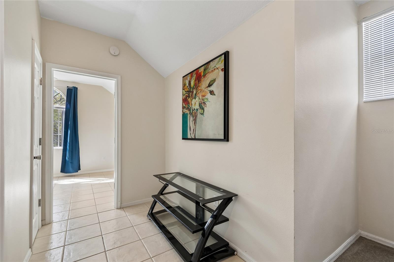 8816 CYPRESS HAMMOCK DR, TAMPA, FL, 33614