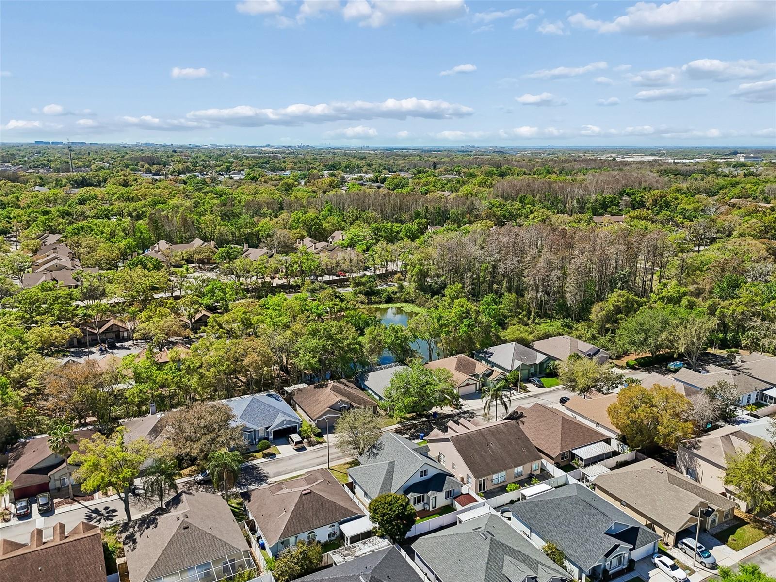 8816 CYPRESS HAMMOCK DR, TAMPA, FL, 33614