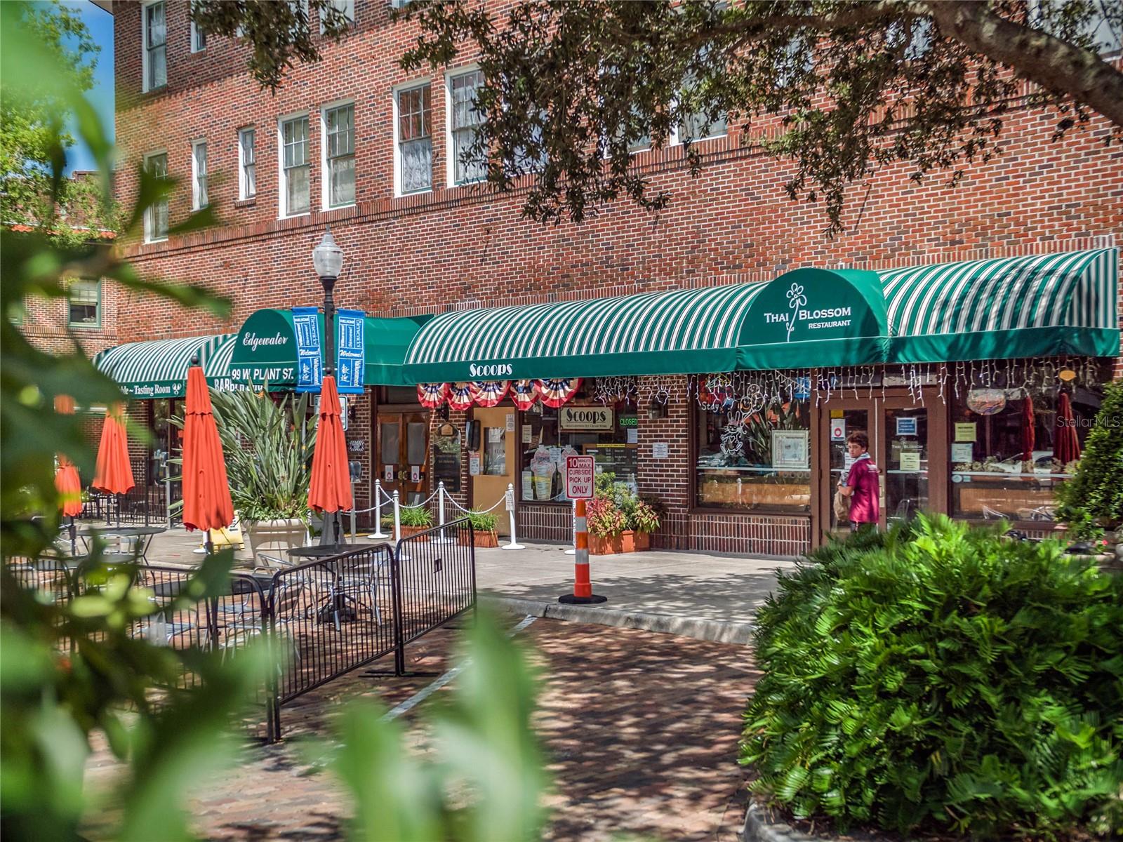 744 LAKE BRIM DR, WINTER GARDEN, FL, 34787