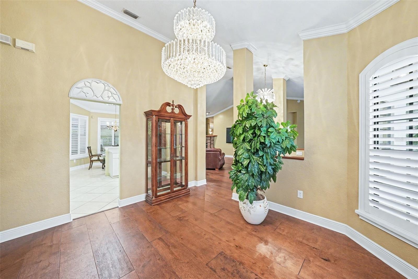19216 RIDGELAKE DR, LUTZ, FL, 33549
