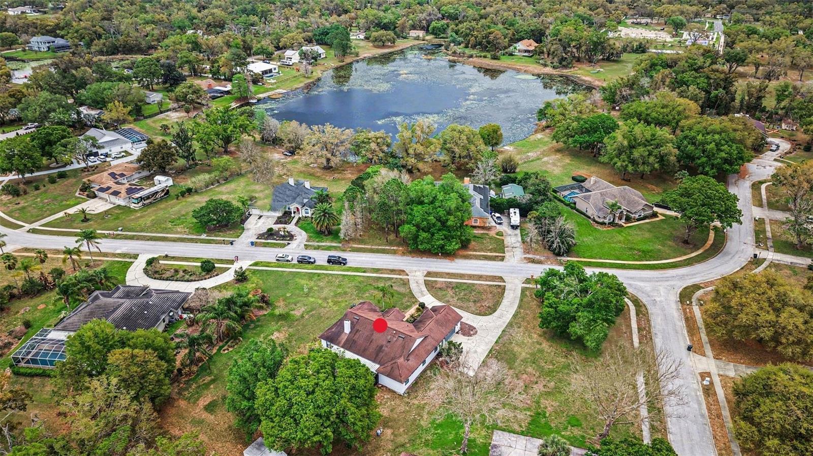 19216 RIDGELAKE DR, LUTZ, FL, 33549