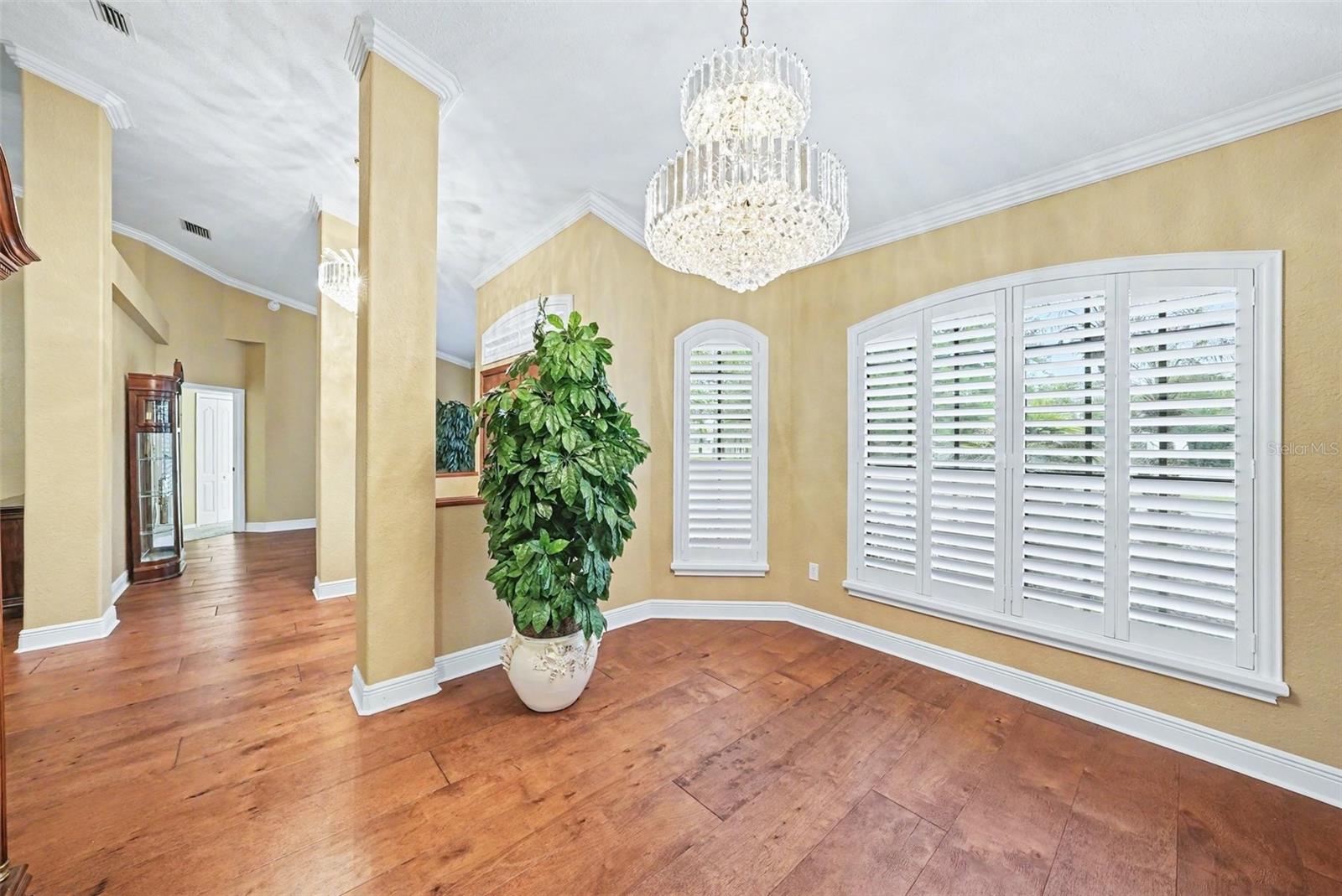 19216 RIDGELAKE DR, LUTZ, FL, 33549