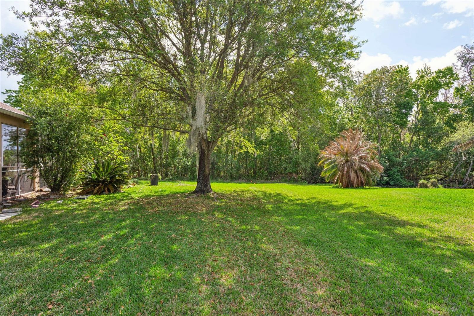 5246 BRADDOCK DR, ZEPHYRHILLS, FL, 33541