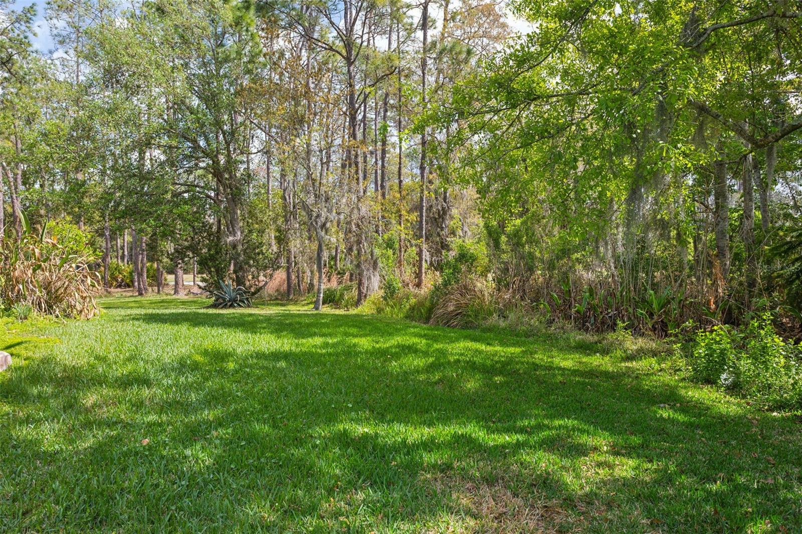 5246 BRADDOCK DR, ZEPHYRHILLS, FL, 33541