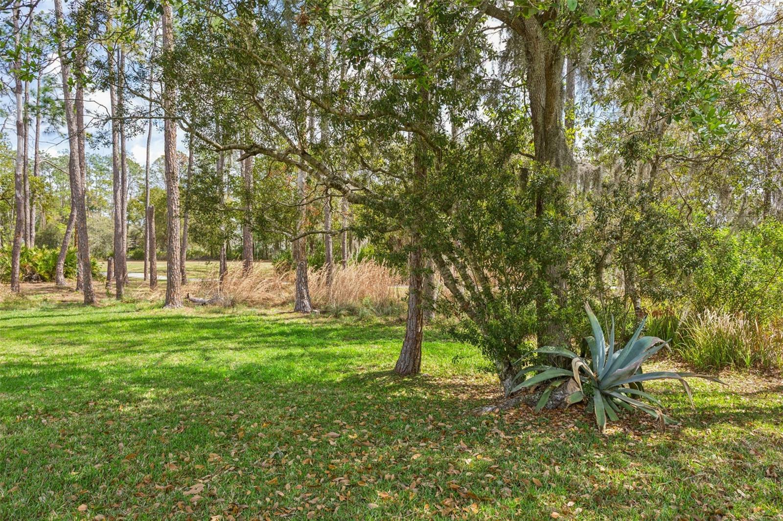 5246 BRADDOCK DR, ZEPHYRHILLS, FL, 33541