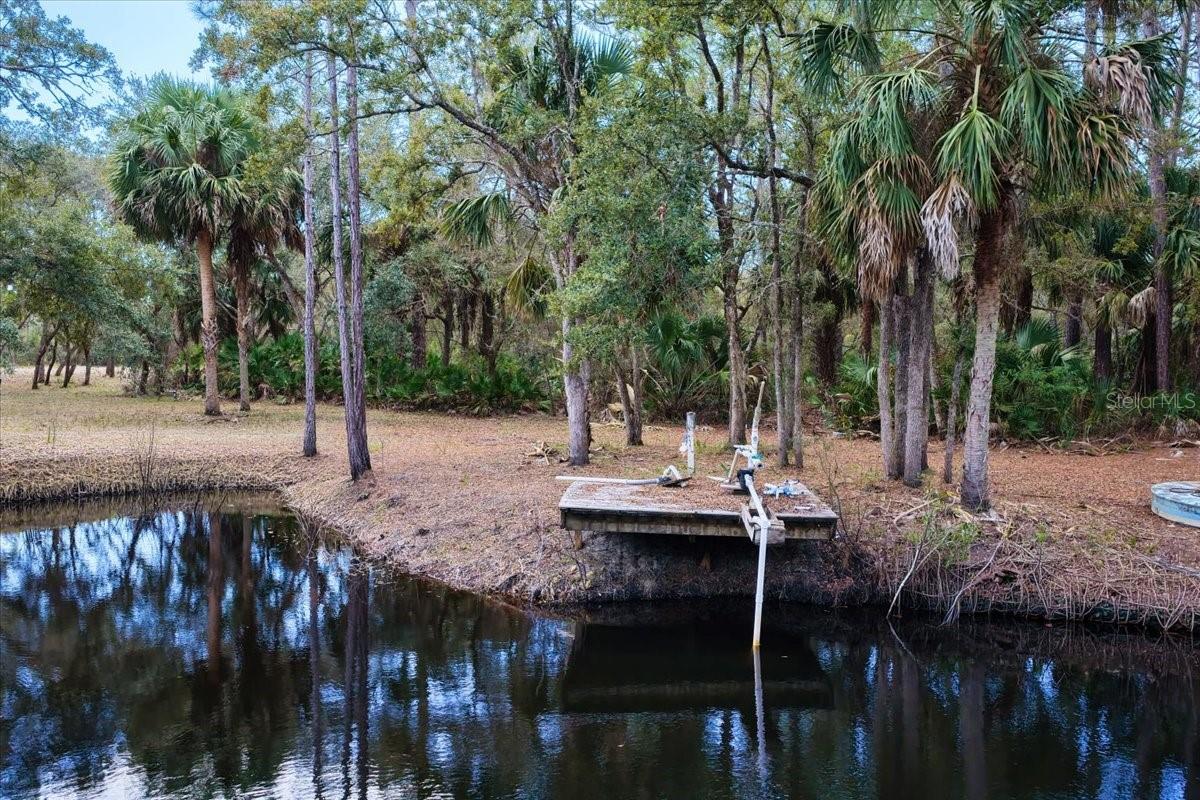 TBD 000 SW 123RD TER, CEDAR KEY, FL, 32625