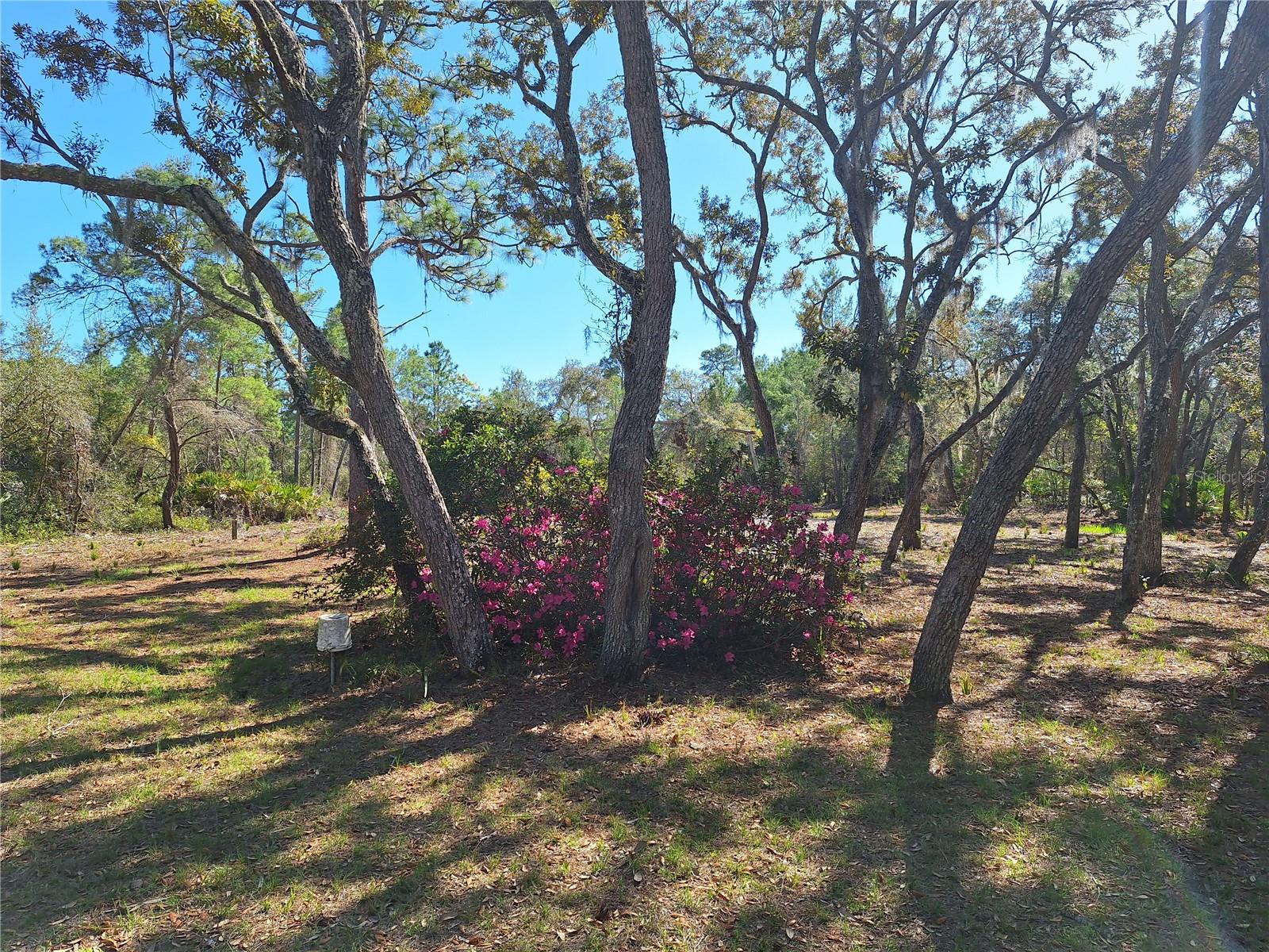 TBD 000 SW 123RD TER, CEDAR KEY, FL, 32625