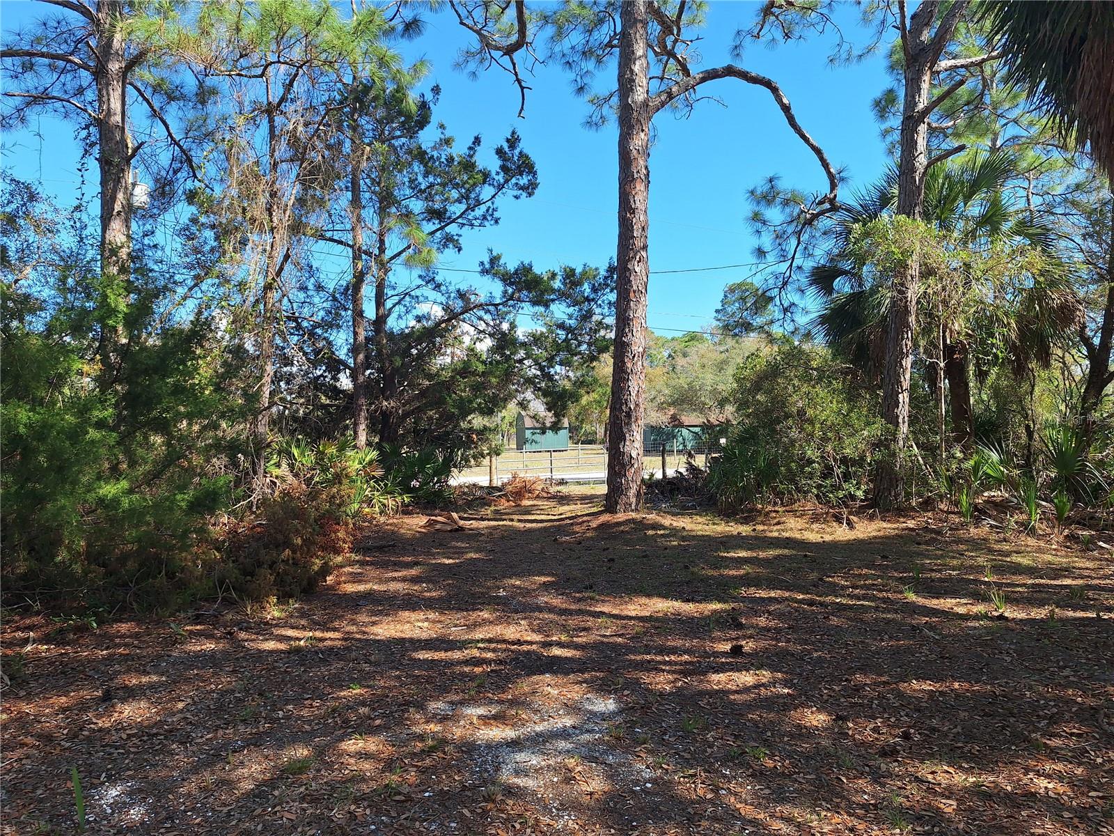 TBD 000 SW 123RD TER, CEDAR KEY, FL, 32625