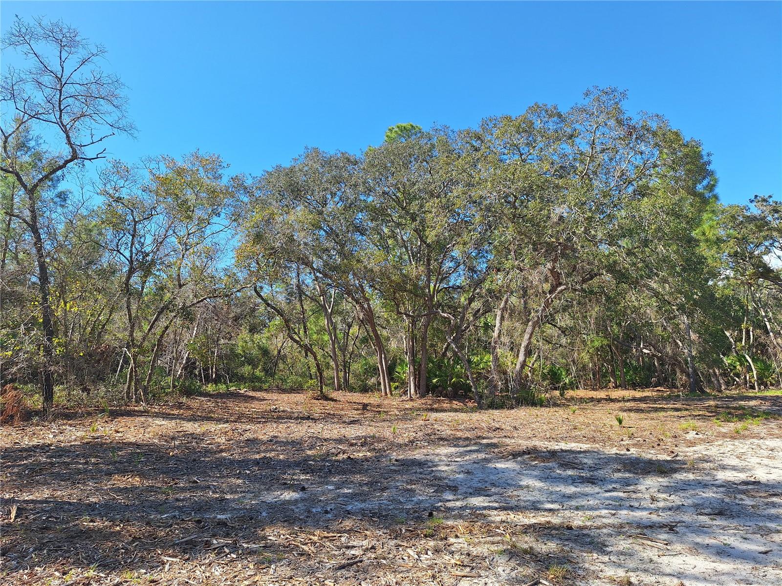 TBD 000 SW 123RD TER, CEDAR KEY, FL, 32625