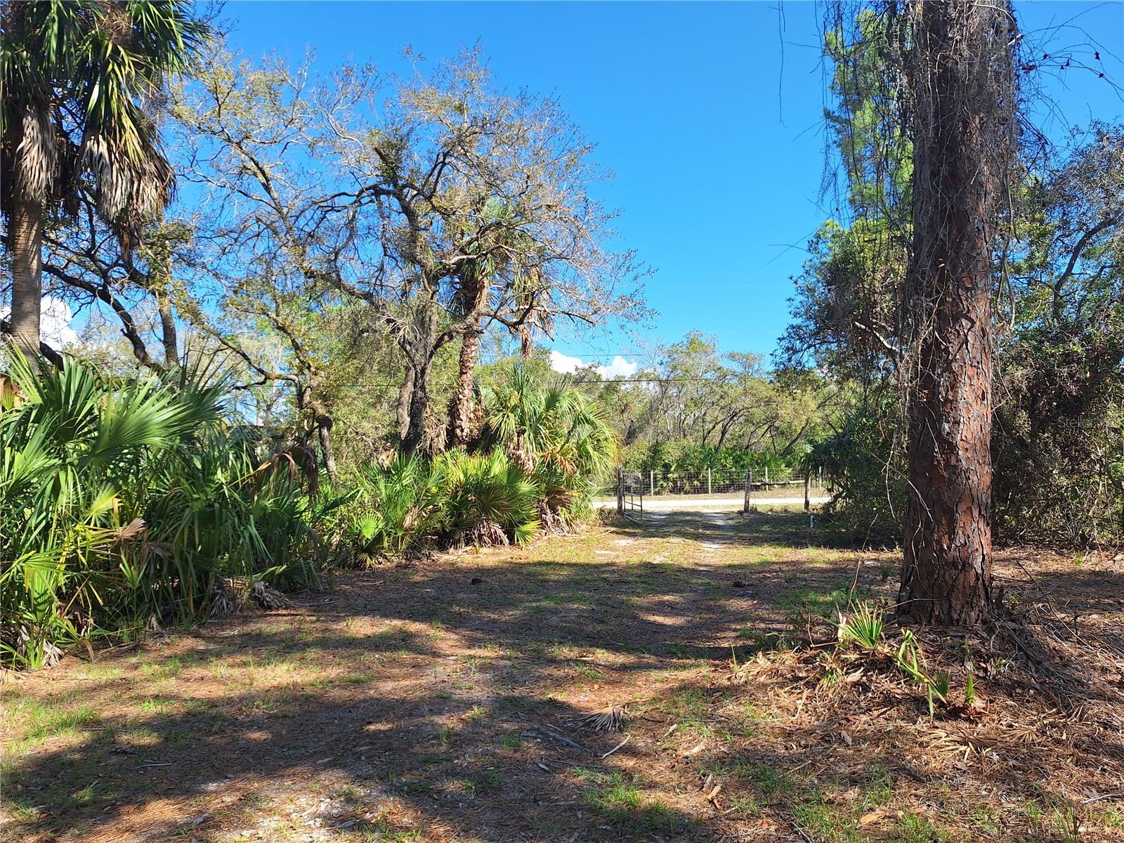 TBD 000 SW 123RD TER, CEDAR KEY, FL, 32625