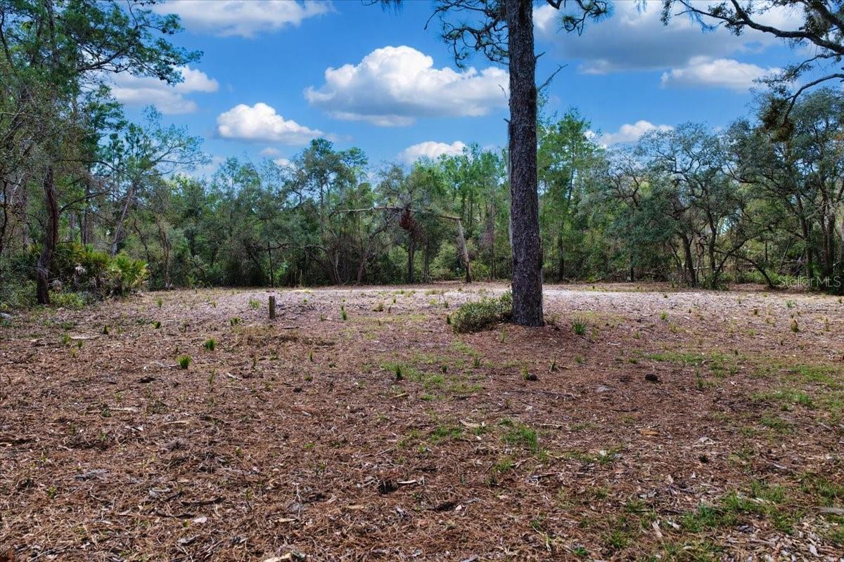 TBD 000 SW 123RD TER, CEDAR KEY, FL, 32625