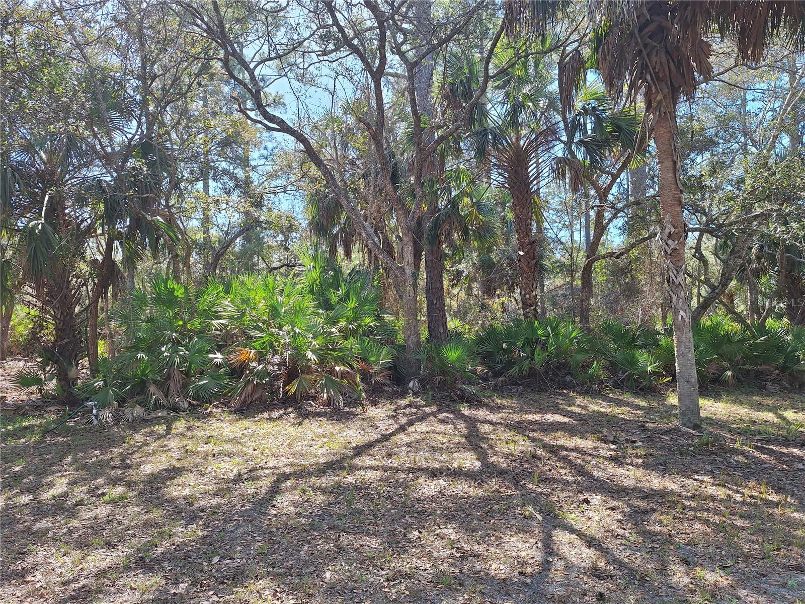 TBD 000 SW 123RD TER, CEDAR KEY, FL, 32625