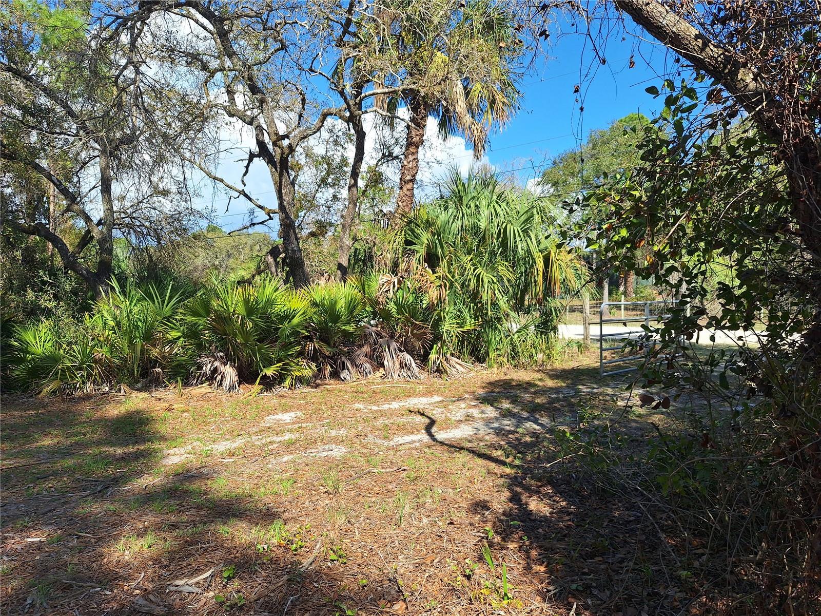 TBD 000 SW 123RD TER, CEDAR KEY, FL, 32625