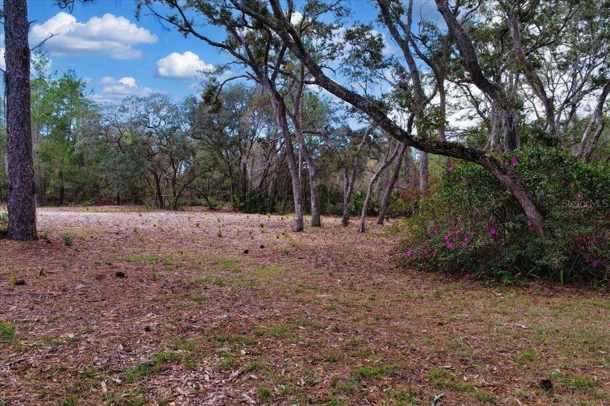 TBD 000 SW 123RD TER, CEDAR KEY, FL, 32625