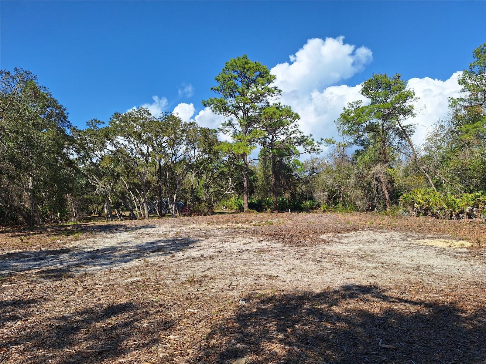 TBD 000 SW 123RD TER, CEDAR KEY, FL, 32625